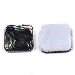 Colorful Natural Abalone Shell/Paua Shell Cabochons, with Freshwater Shell, Square, Colorful, 12x12x3mm