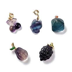 Fluorite Natural Fluorite Carved Pendants, with Golden Plated Brass Findings and Enamel, Mixed Shape, 17.5~21x11~17x7~12mm, Hole: 2.6~4mm