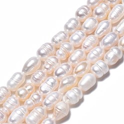 Coquillage De Mer Brins de perles de culture d'eau douce naturelles, riz, couleur de coquillage, 8.5~12x6.5~7.5mm, Trou: 0.8mm, Environ 32~39 pcs/chapelet, 13.82 pouces~14.37 pouces (35.1cm~36.5cm)