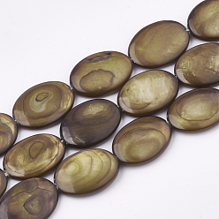 Olive Freshwater Shell Beads Strands, Dyed, Oval, Olive, 17.5~18x12~13x3mm, Hole: 1mm, about 23pcs/strand, 16.3 inch