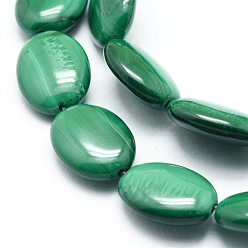 Malachite Malachite naturelles brins de perles, ovale, 15.5~16x12x5mm, Trou: 0.8mm, Environ 25 pcs/chapelet, 15.75 pouce (40 cm)