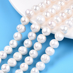 White Natural Cultured Freshwater Pearl Beads Strands, Potato, White, 8~9mm, Hole: 0.5mm, about 42~43pcs/strand, 13.31 inch~17.60 inch(33.8~44.7cm)