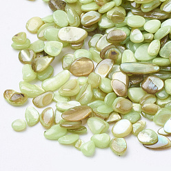 Green Yellow Shell Beads, No Hole Beads, Dyed, Chip, Green Yellow, 1~15x1~15x0.5~5mm, about 450g/bag