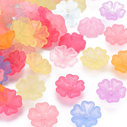 Mixed Color Transparent Frosted Acrylic Bead Caps, 5-Petal, Flower, Mixed Color, 16.5x6mm, Hole: 1.6mm, about 959pcs/500g