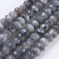 Larvikite Natural Larvikite Beads Strands, Faceted, Rondelle, 4~4.5x2~2.5mm, Hole: 1mm, about 150pcs/strand, 15.1  inch~15.3 inch(38.5~39cm)