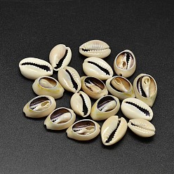 Verge D'or Pâle Perles de coquillage cauri naturelles, sans trou, verge d'or pale, 17~20x10~12x5~6mm, environ490 pcs / 500 g