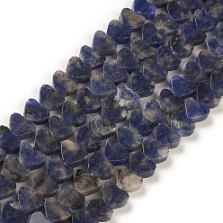 Sodalite Natural Sodalite Beads Strands, Heart, 7~7.5mm, Hole: 0.6mm, about 62pcs/strand, 14.80''~15''(37.6~38.1cm)