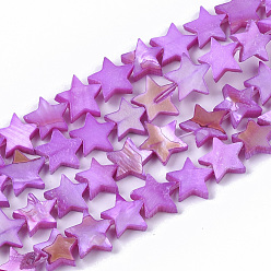 Темно-Фиолетовый Пресноводных оболочки бисер нитей, окрашенные, звезда, темно-фиолетовый, 9~10.5x9.5~11.5x2~3 мм, отверстие : 1 мм, около 38 шт / нитка, 11.8 дюйм ~ 13.3 дюйм