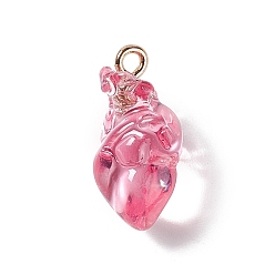 Rose Chaud Pendentifs en résine transparente, charmes de coeur anatomiques, avec boucles en fer plaqué or, rose chaud, 20.5~21.5x11.5x11mm, Trou: 2mm