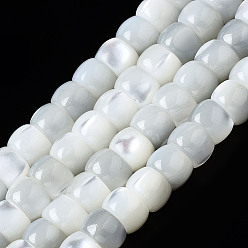 Seashell Color Natural Trochid Shell/Trochus Shell Beads Strands, Column, Bleach, Seashell Color, 6x3~4mm, Hole: 0.8mm, about 101~102pcs/strand, 15.94 inch(40.5cm)