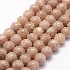 Jade Blanc Perles naturelles, perles de jade , Imitation de la pierre de soleil, teint, ronde, corail, 10mm, Trou: 1mm, Environ 37 pcs/chapelet, 14.5 pouce