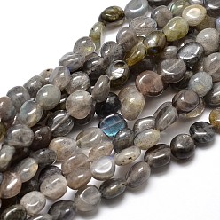 Labradorite Natural Labradorite Nuggets Beads Strands, Tumbled Stone, 4~8x6~9x5~7mm, Hole: 1mm, about 15.3 inch~15.7 inch