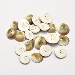 Kaki Foncé Perles naturelles de coquille d'oeil de shiva, kaki foncé, 11~15x4~5mm, trou: 1 mm, environ 480 pcs / 500 g