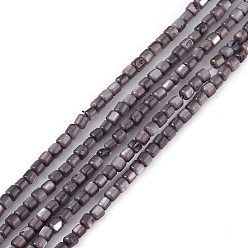 Gris Ardoise Brins de perles d'eau douce naturelles teintes en coquillage, cube, gris ardoise, 3~3.5x3~3.5mm, Trou: 0.8mm, Environ 108 pcs/chapelet, 14.96'' (38 cm)