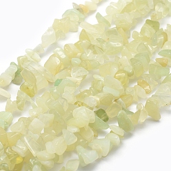 New Jade Natural New Jade Beads Strands, Chip, 5~8mm, Hole: 1mm, about 33 inch(84cm)