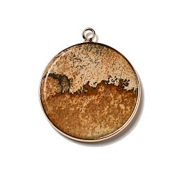 Jaspe Image Image Naturel jaspe pendentifs, charmes rondes plates, avec cadre en laiton doré, 35x31x3~3.5mm, Trou: 2.5mm