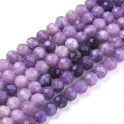 Sugilite Natural Sugilite Beads Strands, Gradient Style, Round, Faceted, 6mm, Hole: 1mm, about 65pcs/strand, 14.96 inch(38cm)