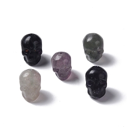 Fluorite Natural Fluorite Beads, Skull, 13x10x11.5mm, Hole: 1mm