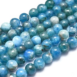 Apatite Natural Apatite Beads Strands, Round, 4~4.5mm, Hole: 0.5mm, about 102pcs/Strand, 15.35 inch(39cm)