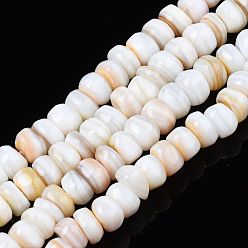 Coquille De Trochus Brins de perles de coquille de trochid / trochus shell, non teint, plat rond, 5~10x1~7mm, Trou: 1mm, Environ 94~116 pcs/chapelet, 14.96 pouces~15.94 pouces (38cm~40.5cm)