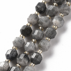 Labradorite Natural Labradorite Beads Strands, Barrel, Faceted, 5.5x4~5mm, Hole: 0.6mm, about 55pcs/strand, 14.96 inch(38cm)
