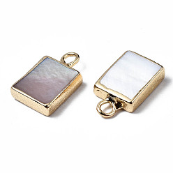 Freshwater Shell Natural Freshwater Shell Charms, with Golden Plated Iron Loops and Brass Edge, Rectangle, 14x8x3mm, Hole: 1.8mm