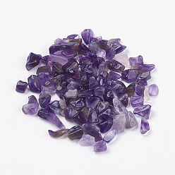 Amethyst Natural Amethyst Beads, Tumbled Stone, No Hole/Undrilled, Chips, 5~16x2~5mm, about 50g/bag