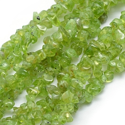Peridot Natural Peridot Beads Strands, Grade A, Chip, 6.5~14.5x5~8mm, Hole: 1mm, about 31.5 inch(80cm)