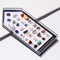 Mixed Stone 31 Styles Raw Rough Nuggets Mixed Natural Gemstone Collections, for Earth Science Teaching, with Glass Box, Box: 150x70mm, Gemstone: 7~10mm