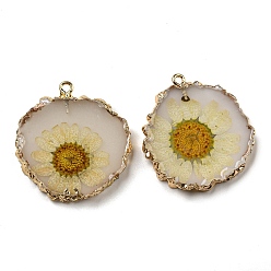 Light Yellow Inner Dried Flower Resin Pendants, Flat Round Charms with Light Gold Plated Brass Edge and Iron Loops, Light Yellow, 34~36x30~31.5x4.5~5.5mm, Hole: 2mm