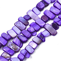Violet Bleu Brins de perles de coquille de trochid / trochus shell, teint, rectangle, bleu violet, 6~11x6~36x1~7mm, Trou: 1mm, Environ 45~55 pcs/chapelet, 14.96 pouces~15.35 pouces (38cm~39cm)
