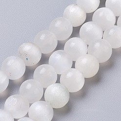 Sélénite Brins de perles de sélénite naturelles, ronde, 8mm, Trou: 1mm, Environ 51 pcs/chapelet, 15.75 pouce (40 cm)