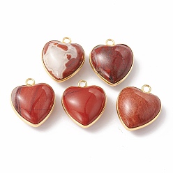 Красный Камень Природные красной яшмы подвески, с латунной фурнитурой золотого цвета, сердце прелести, 18~19x15~17x7~10 мм, отверстие : 2 мм