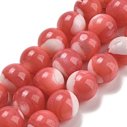 Corail Clair Brins de perles de trocas naturels teints, ronde, corail lumière, 10mm, Trou: 1.2mm, Environ 41 pcs/chapelet, 15.08 pouce (38.3 cm)