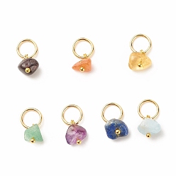 Golden 7Pcs 7 styles Natural Stone Charms, Natural Garnet & Red Aventurine & Green Aventurine & Amethyst & Citrine & Aquamarine & Lapis Lazuli, with 304 Stainless Steel Jump Ring, Nuggets, Golden, 14mm, 1pc/style