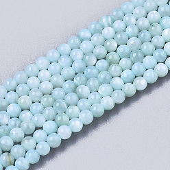 Turquoise Pâle Eau douce naturelle de coquillage perles brins, teint, ronde, turquoise pale, 2.5mm, Trou: 0.7mm, Environ 150~190 pcs/chapelet, 14.96 pouces ~ 15.75 pouces