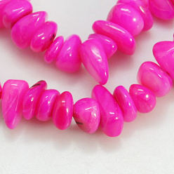 Magenta Chapelets de perles de coquillage naturel, teint, puces, magenta, 5~12x5~8x1~6mm, Trou: 1mm