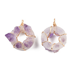 Golden Natural Amethyst Pendants, with Aluminium Wire Wrapped, Ring Charm, Golden, 49~50x36.5~43x21~23.5mm, Hole: 3.5mm