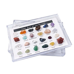 Piedra Mixta Colecciones de pepitas de piedras preciosas naturales, para la enseñanza de las ciencias de la tierra, cuadro: 90x60x20 mm, la piedra preciosa: 8~14x5~8 mm, 24 unidades / caja