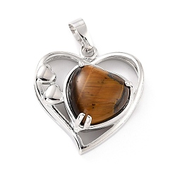 Tiger Eye Natural Tiger Eye Pendants, with Platinum Tone Brass Findings, Cadmium Free & Lead Free, Heart, Valentine's Day, 28x26x5mm, Hole: 8x5mm