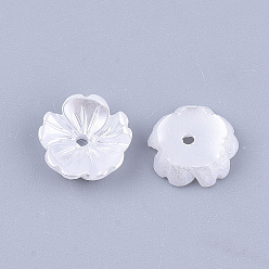Белый Бусины из искусственного жемчуга, 5-лепесток, цветок, белые, 8x8x2.5 мм, отверстие : 1 мм