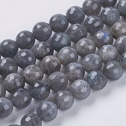 Larvikite Natural Labradorite Beads Strands, Faceted, Round, Gray, 6mm, Hole: 1mm, about 63pcs/strand, 15.5 inch