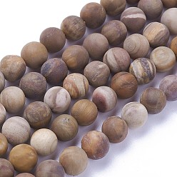 Pétrifié En Bois Naturelles pétrifiés perles de bois brins, givré, ronde, 8mm, Trou: 1.2mm, Environ 46~47 pcs/chapelet, 14.8 pouces ~ 15.51 pouces (37.7~39.4 cm)