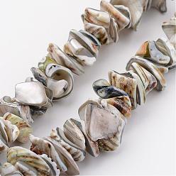 Gris Clair Shell normal de perles brins, teint, nuggets, gris clair, 10~20x8~12x3~6mm, Trou: 1mm, environ 15.7 pouce