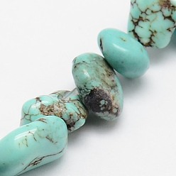 Howlite Brins de perles de magnésite naturelle, teints et chauffée, puces, 6~12x6~18x4~8mm, Trou: 1mm, Environ 45 pcs/chapelet, 15.75 pouce (40 cm)