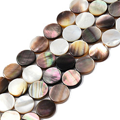 Coquillage Noir Naturel noir à lèvres shell perles brins, plat rond, 12x2.5~3mm, Trou: 0.7mm, Environ 33 pcs/chapelet, 15.28 pouce (38.8 cm)