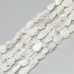 White Natural White Moonstone Beads Strands, Tumbled Stone, Nuggets, White, 4~15x4~8x3~7mm, Hole: 1mm, about 40~70pcs/strand, 15.7 inch