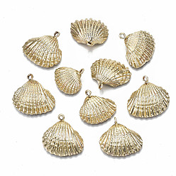 Golden Electroplate Natural Shell Pendants, with Iron Loop, Shell, Gold, 19~25x19~26x7~9mm, Hole: 1.8mm
