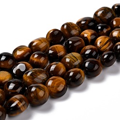 Tiger Eye Natural Tiger Eye Beads Strands, Tumbled Stone, Nuggets, Grade A, 8.5~12.5x7.5~9.5x5.5~7mm, Hole: 1mm, about 38~40pcs/strand, 15.55~15.75 inch(39.5~40cm)