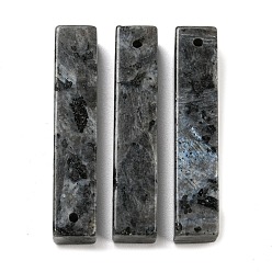 Labradorite Pendentifs labradorite naturelle, charme rectangle, 38~41x7.5~8x7.5~8mm, Trou: 1.5mm